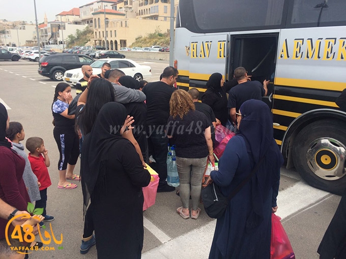 mo3tmren yaffa 2 (28).jpg